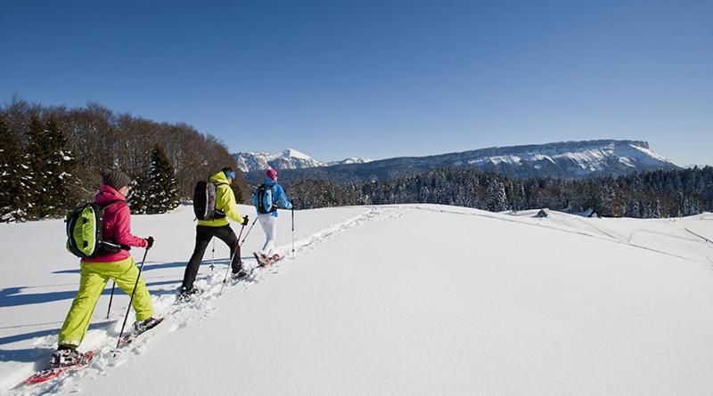 Les Chalets De Ludran Viuz-en-Sallaz Exteriér fotografie