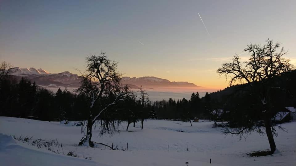 Les Chalets De Ludran Viuz-en-Sallaz Exteriér fotografie