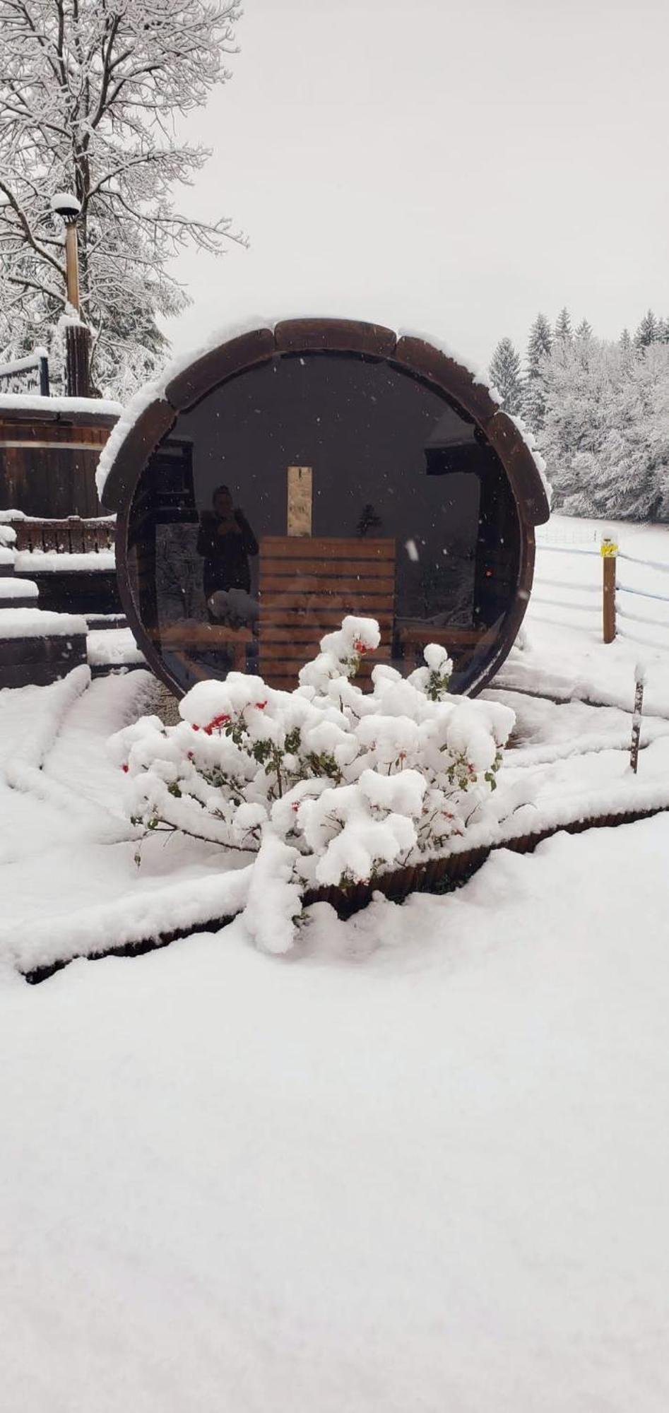Les Chalets De Ludran Viuz-en-Sallaz Exteriér fotografie